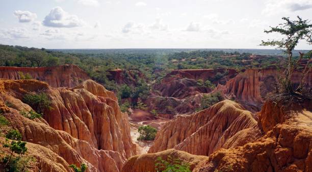 istock landscape in kenya 997786634