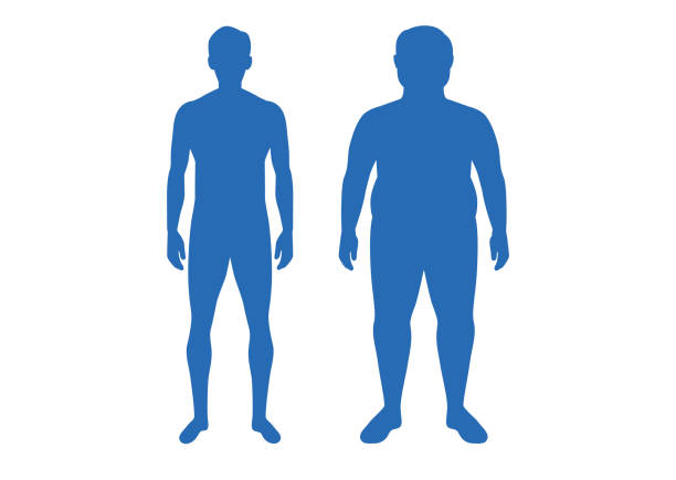 sylwetka różnicy ciała między zgrabnym człowiekiem a tłuszczem. - eating silhouette men people stock illustrations