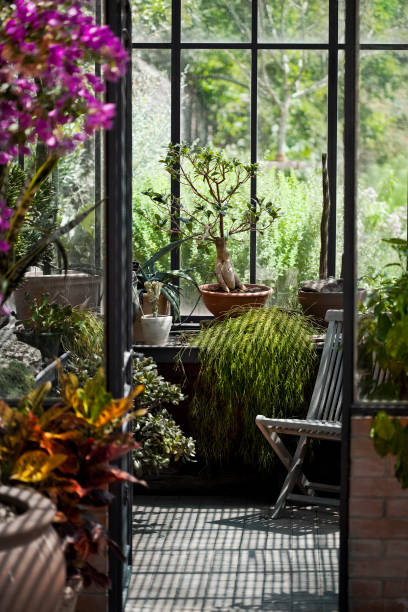 istock Vintage greenhouse 997790598