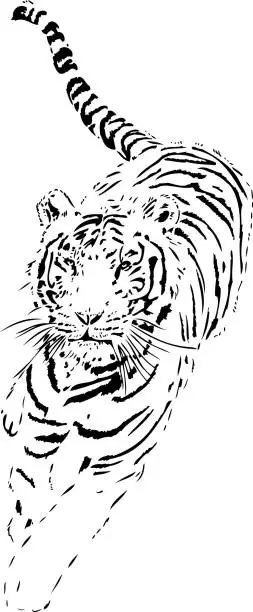 Vector illustration of Tiger portrait in black lines