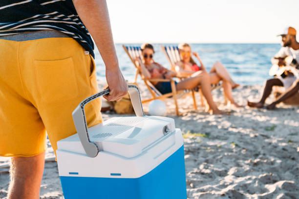 cropped shot of man holding beach cooler while friends resting on sand behind stock photo