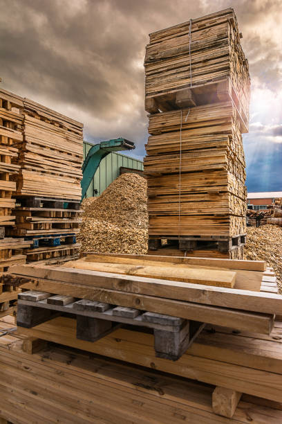 istock Large sawmill with machinery for processing wood 997813494