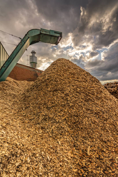 istock Large sawmill with machinery for processing wood 997813498