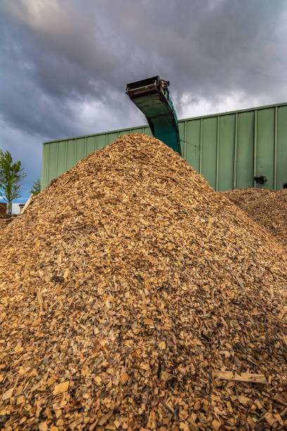 istock Large sawmill with machinery for processing wood 997813562