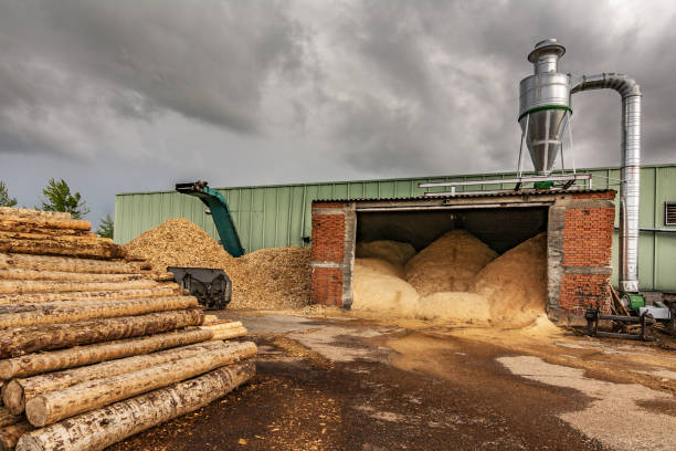 istock Large sawmill with machinery for processing wood 997813584