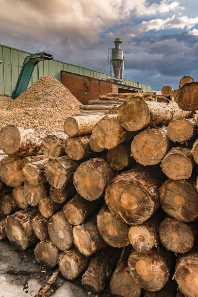 istock Large sawmill with machinery for processing wood 997813598