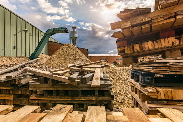 istock Large sawmill with machinery for processing wood 997813614