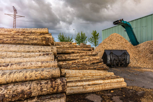 istock Large sawmill with machinery for processing wood 997813664