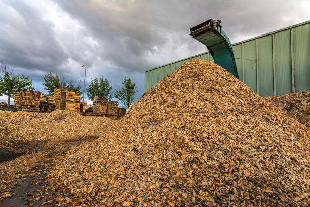 istock Large sawmill with machinery for processing wood 997813670