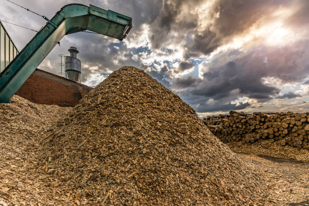 istock Large sawmill with machinery for processing wood 997813682