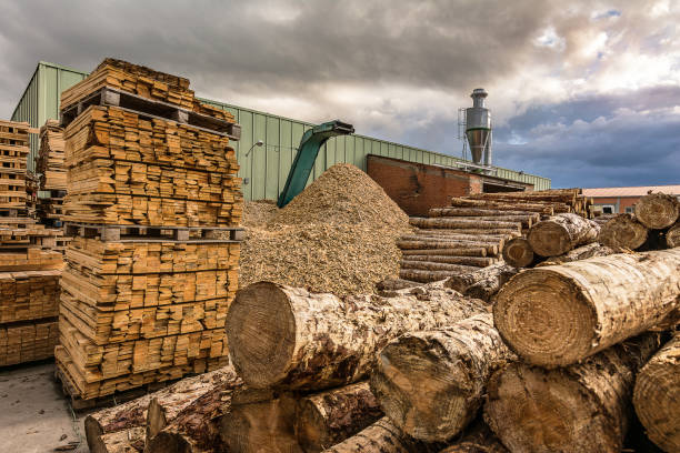 istock Large sawmill with machinery for processing wood 997813710