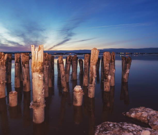 forgotten pier pilings - horizontal nova scotia bay of fundy bay imagens e fotografias de stock