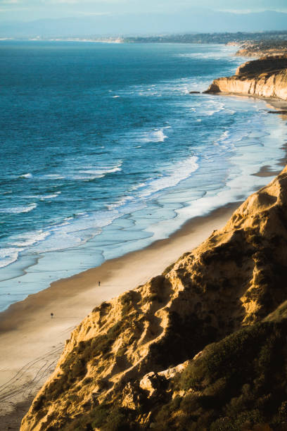 san diego livin - torrey pines state reserve zdjęcia i obrazy z banku zdjęć