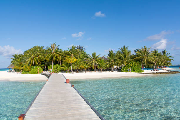 istock Paradise Holiday Island 997862604