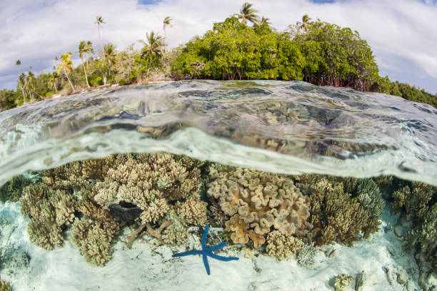 istock Amazing Shallow Reef and Tropical Island 997867274