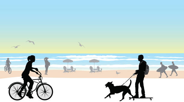 Longboard Beach Walking Dog waterfront boardwalk with cyclist and longboard crowd of people clipart stock illustrations