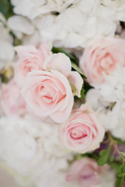 istock flower compositions with roses, orchids and ivy 997892162