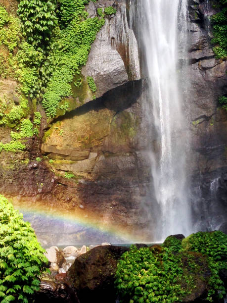 istock Sekumpul Waterfall in Bali, Indonesia 997921922