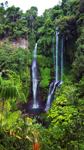 istock Sekumpul Waterfall in Bali, Indonesia 997925844