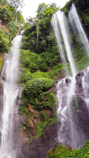 istock Sekumpul Waterfall in Bali, Indonesia 997925854