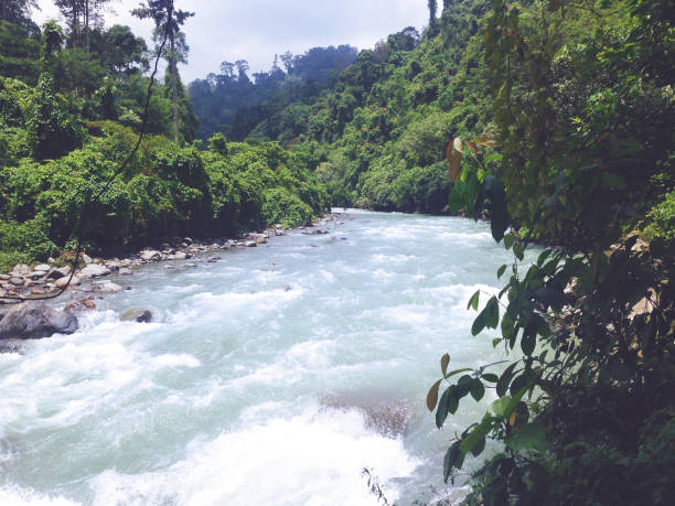 istock Bahorok River in Bukit Lawang, Sumatra, Indonesia 997930642