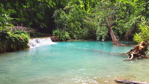 istock Kuang Si waterfalls near Luang Prabang, Laos 997935134
