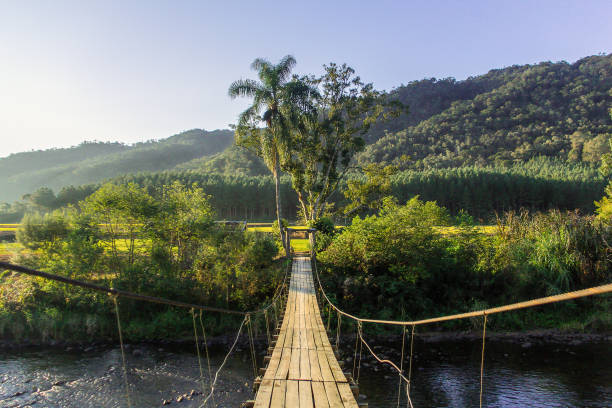 istock Wooden bridge - Brazil 997938800