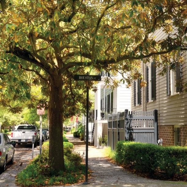 istock Homes, Historic District, Savannah, Georgia, USA: 997941196