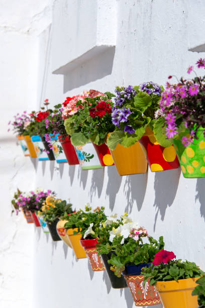 istock Colorful flower pots 997942602