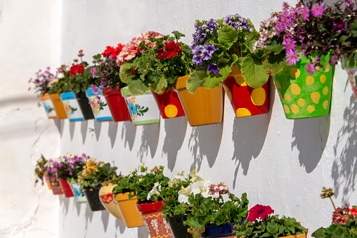 Flowerpots filled with blooming flowers hanging on a white stucco wall in Andalusia, Spain.