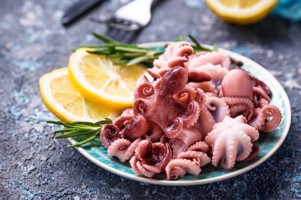 Baby octopus in plate with lemon and rosemary Baby octopus in plate with lemon and rosemary. Selective focus boiled photos stock pictures, royalty-free photos & images