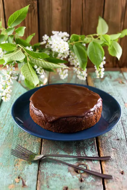 Homemade chocolate cake with chocolate icing in navy blue plate on old painted wood background served with white bird cherry flowers and two forks in front vertical