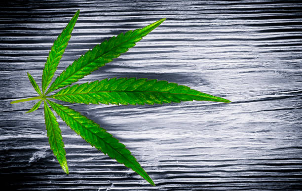 istock A hemp sheet on a white wooden background 997960726