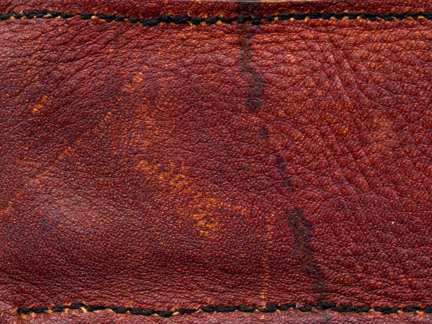 istock Skin texture. Closeup of leather texture. 997966232