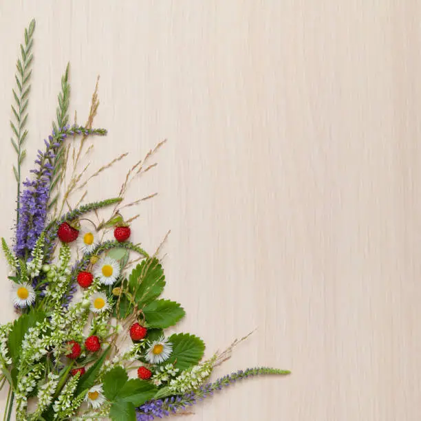 Photo of wild flowers and wild strawberry on wooden background