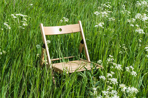 Two wooden folding chairs for rest. Around the lush grass and white flowers. Solar glare is played on a wooden surface. The environment offers privacy.