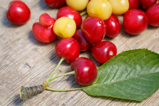 istock Several berries of red and white cherry with leaves scattered on a wooden surface 997993994