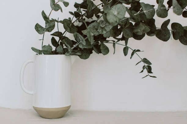 istock eucalyptus bouquet in vase on white background. Floral minimal composition 998007806