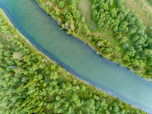 istock River in the green wilderness seen from above 998007846
