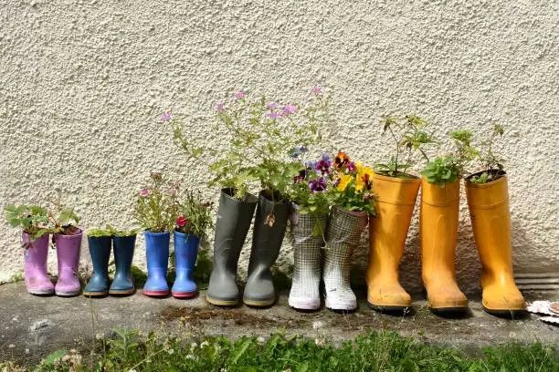 Flowers planted in gumboots