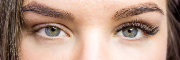 Eyelash Extension Procedure. Before and after. Woman Eyes with Long false Eyelashes. Close up macro shot - Beauty and fashion concept stock photo