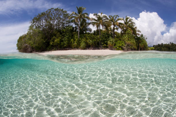 istock Clear Water and Idyllic Tropical Island 998042188