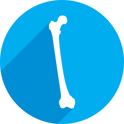 Vector illustration of a blue femur icon in flat style.
