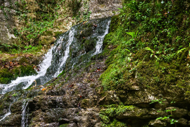 istock Waterfall in Martvili canyon in Georgia 998062004