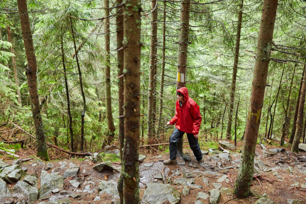 istock Woman hiking in the forest 998078090