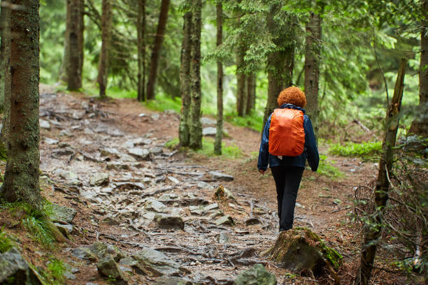 istock Woman hiking in the forest 998078312