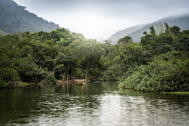 ・ マタ ・ アトランティカ - ブラジルの大西洋岸森林 - forest canal tropical rainforest river ストックフォトと画像