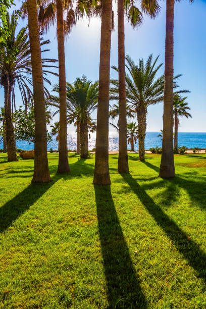 istock Holiday on in the Mediterranean Sea 998087862