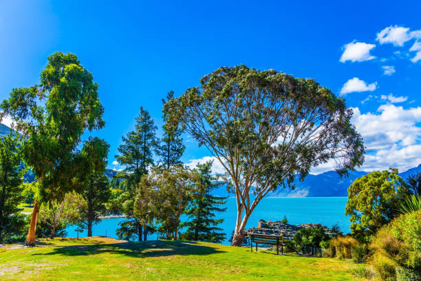 istock Picturesque Lake Havea 998087912