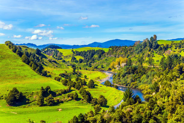 istock Narrow river between wooded hills 998087918